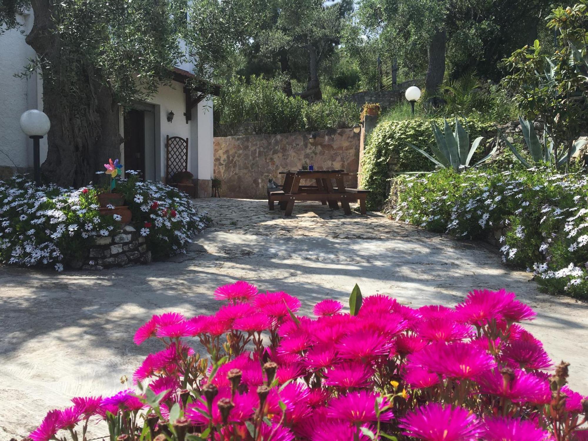 Azienda Agricola B&B Macchiaria Vieste Luaran gambar