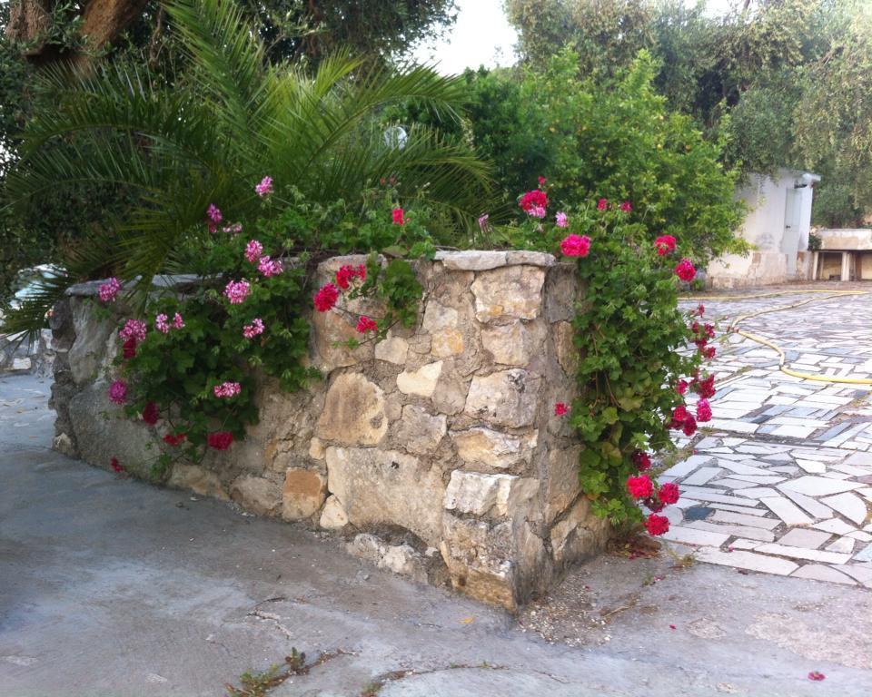 Azienda Agricola B&B Macchiaria Vieste Luaran gambar