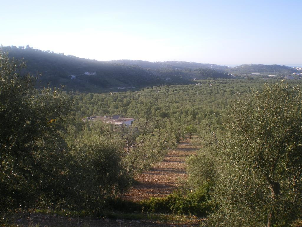 Azienda Agricola B&B Macchiaria Vieste Luaran gambar