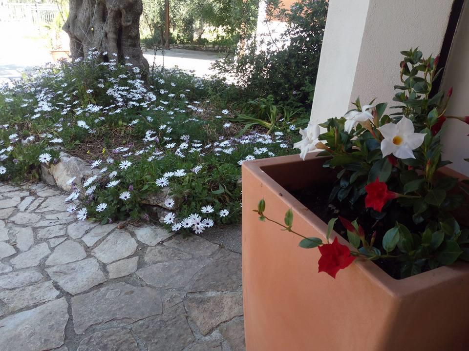 Azienda Agricola B&B Macchiaria Vieste Luaran gambar