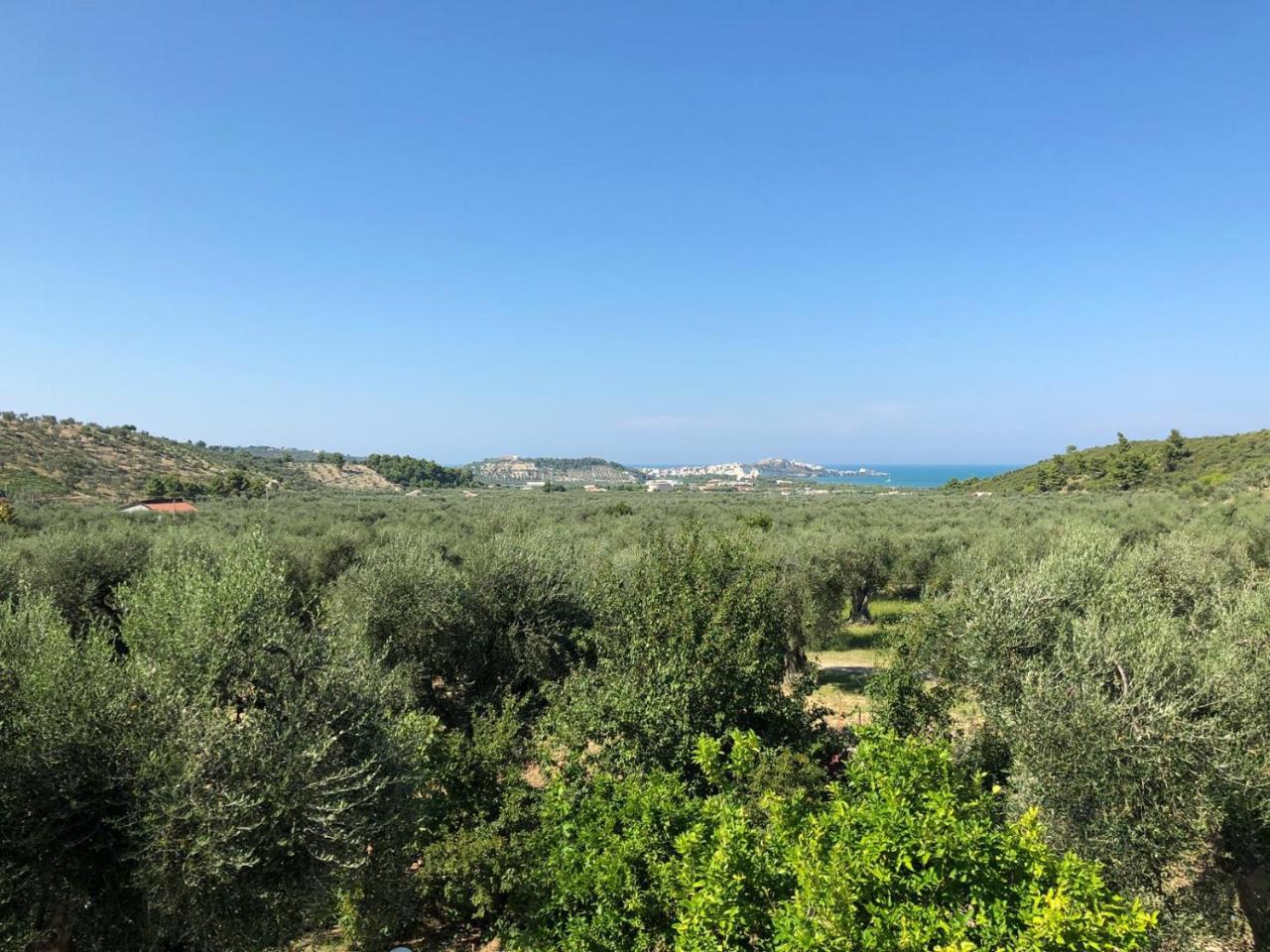 Azienda Agricola B&B Macchiaria Vieste Luaran gambar